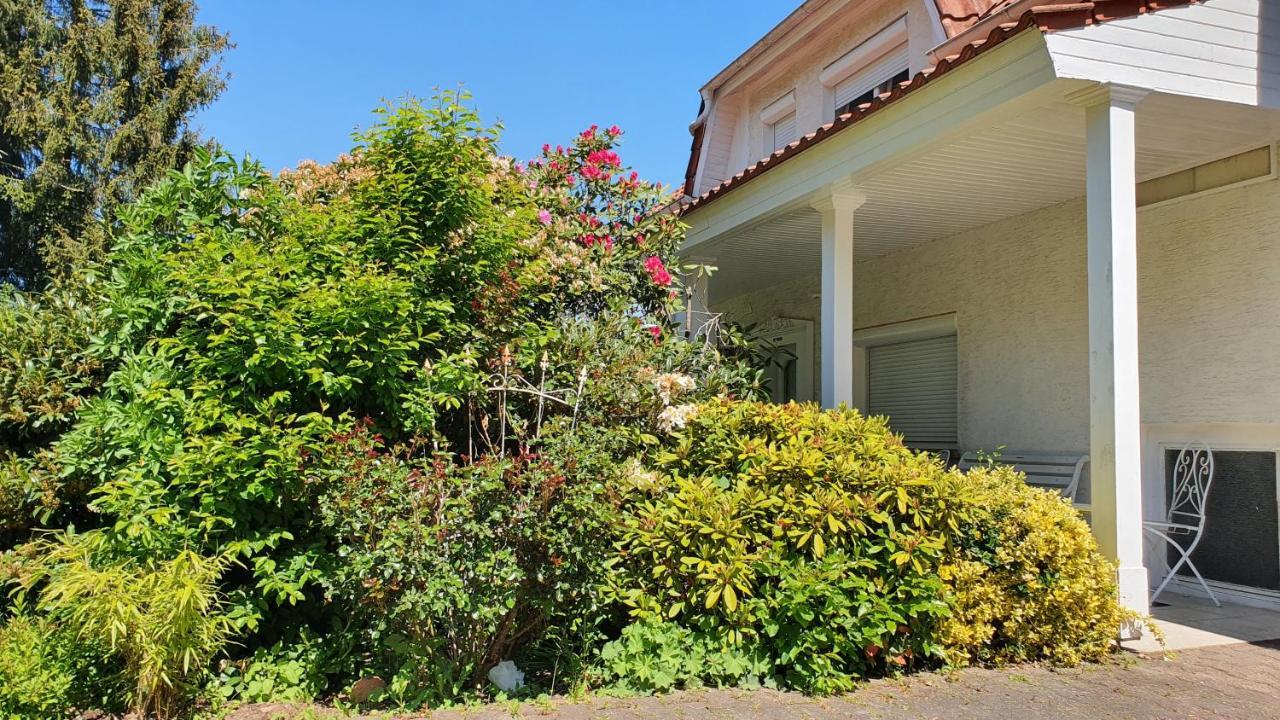 Ferienhaus "Villa Am Eck" アイヒェンツェル エクステリア 写真